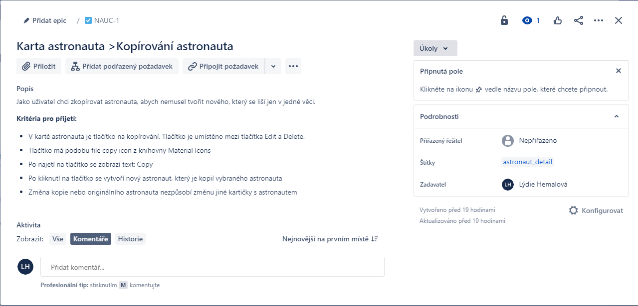 Ukázka ze software Jira na správu projektů - zadání ticketu v češtině Jira - Ukázka zadání ticketu v češtině